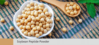 Soybean Peptide Powder