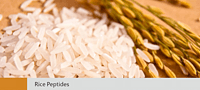 Rice Peptides