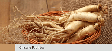 Ginseng Peptides