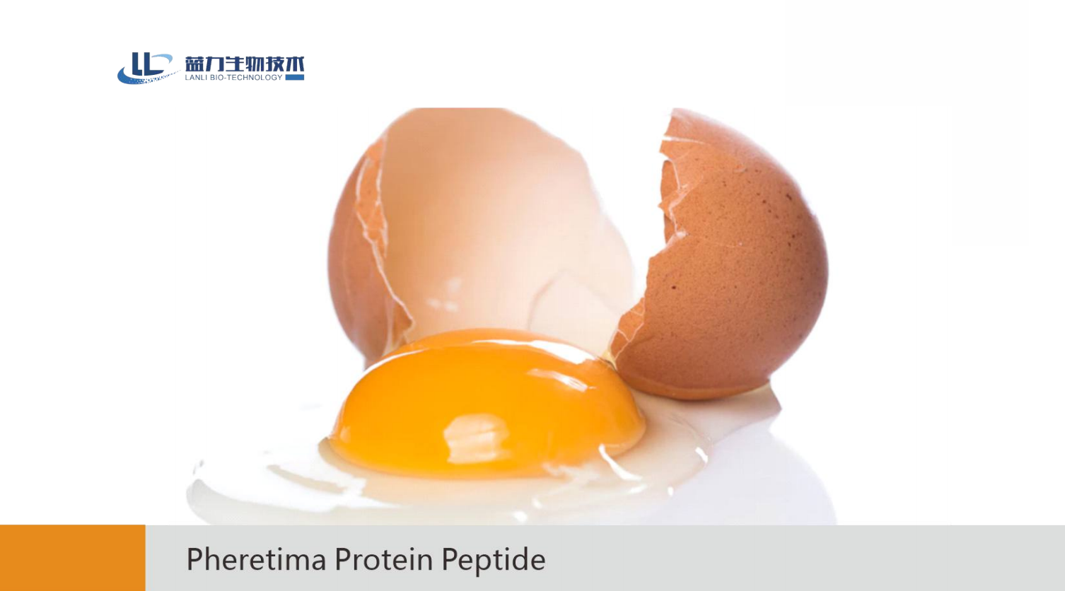 Pheretima Protein Peptide