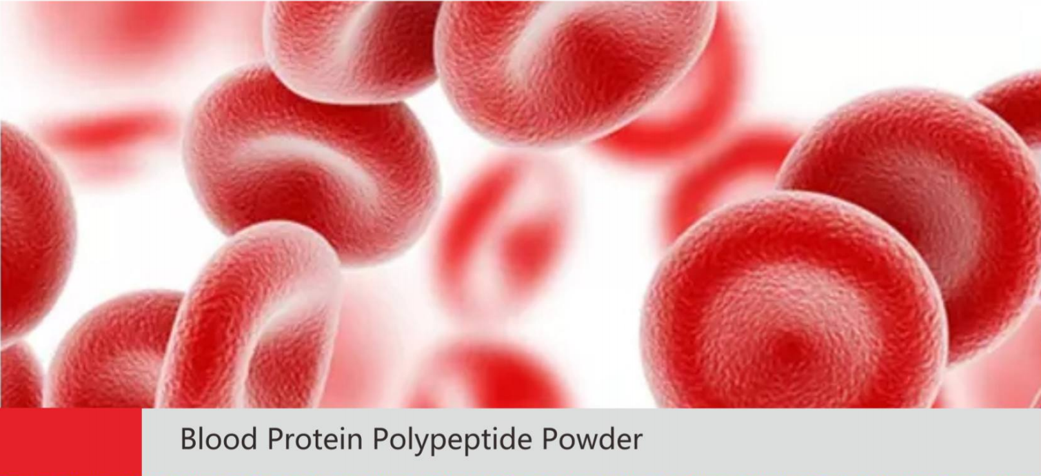 Blood Protein Polypeptide Powder