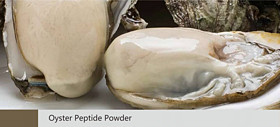 Oyster Peptide Powder