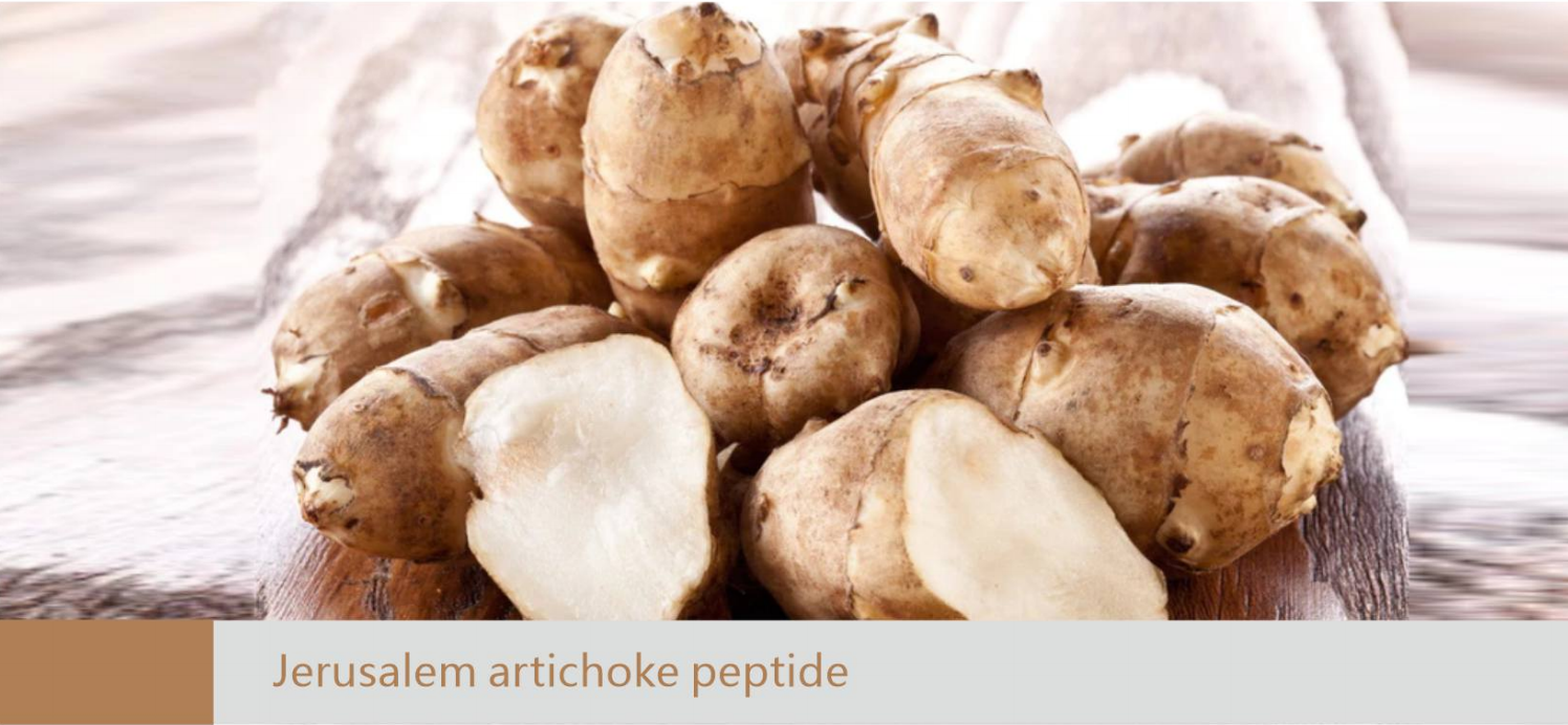 Jerusalem artichoke peptide