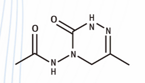 4-Acetylamino-6-methyl
-3-oxo-2,3,4,5-tetrahydro-1,2,4-triazine