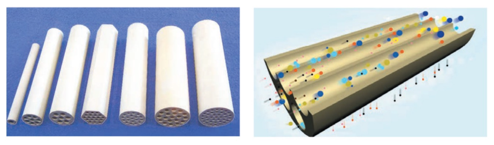 CERAMIC MEMBRANE PROCESSING SYSTEM