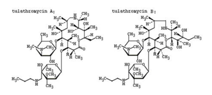 Tulathromycin