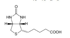 1% biotin