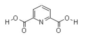 2,6-Pyridine Dicarboxylic acid