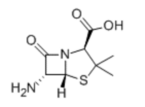 6-Aminopenicillanic Acid(6-APA)