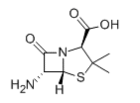 6-Aminopenicillanic Acid(6-APA)