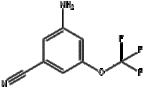 3-amino-5-(trifluoromethoxy)benzonitrile