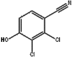 2,3-dichloro-4-hydroxybenzonitrile