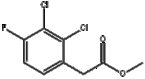 methyl 2,3-dichloro-4-fluorophenylacetate