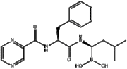 Bortezomib