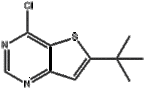 6-T-BUTYL-4-CHLOROTHIENO[3,2-D]PYRIMIDINE