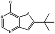 6-T-BUTYL-4-CHLOROTHIENO[3,2-D]PYRIMIDINE