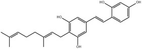 chlorophorin