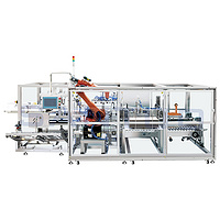 Intelligent Carton Packaging Line