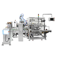 Automatic Tablet/Capsule Case Packaging Line