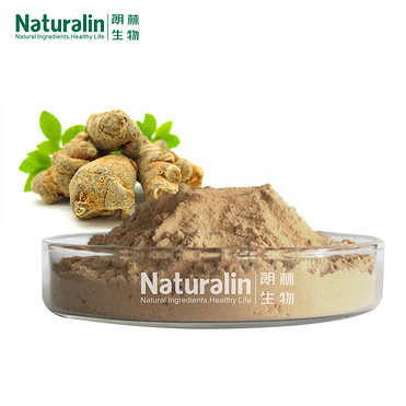 Notoginseng Extract