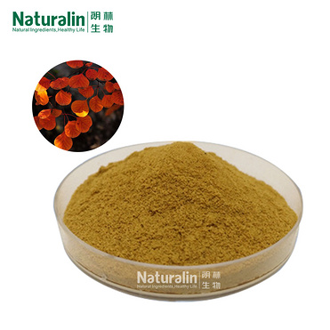 Fisetin Extract