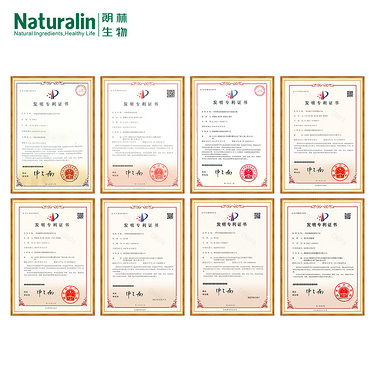 Gentian root Extract