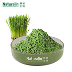 Wheat Grass Juice Powder