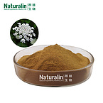 Cnidium Extract