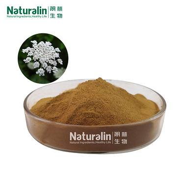 Cnidium Extract