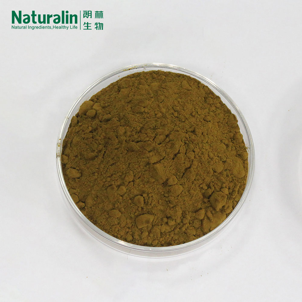 Echinacea Extract  