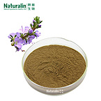 Alfalfa Extract