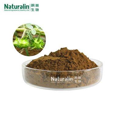 Tribulus Extract