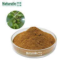 Gallnut Extract