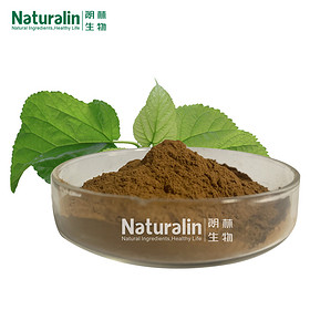 Mulberry Leaf Extract