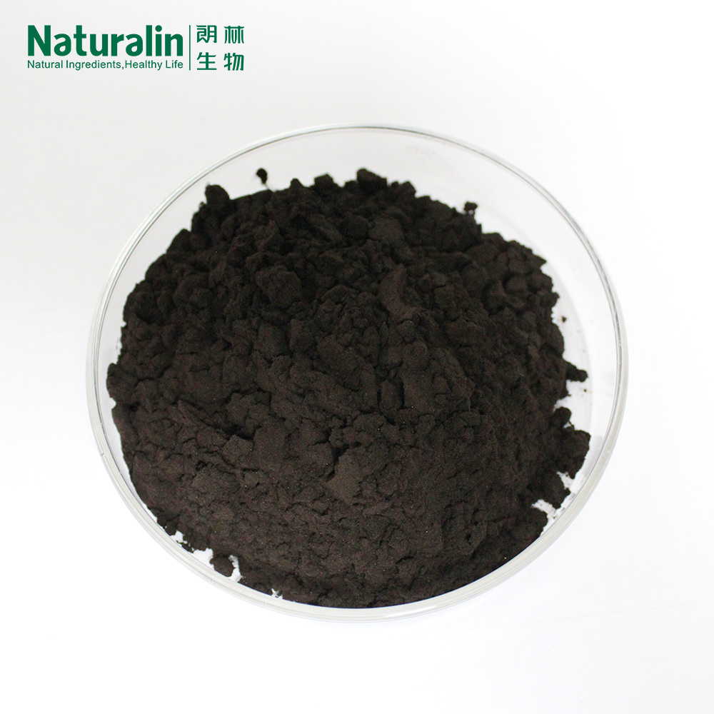 Bilberry Extract  