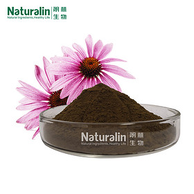 Echinacea Extract