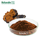 Chaga Mushroom Extract