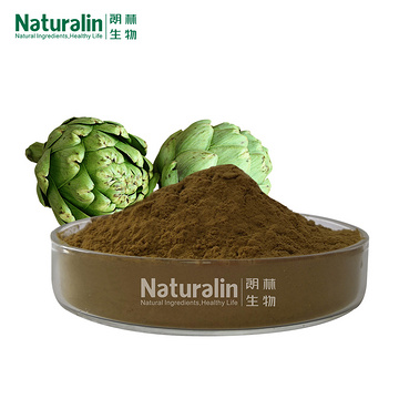 Artichoke Extract  