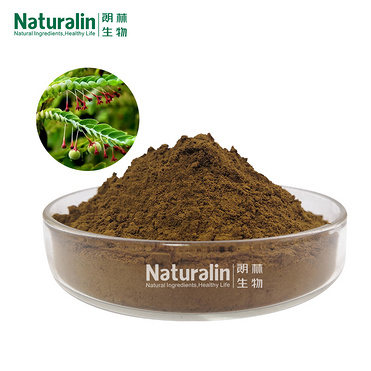 Phyllanthus Niruri Extract