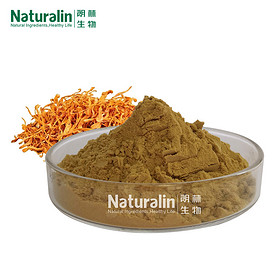 Cordyceps Militaris Extract