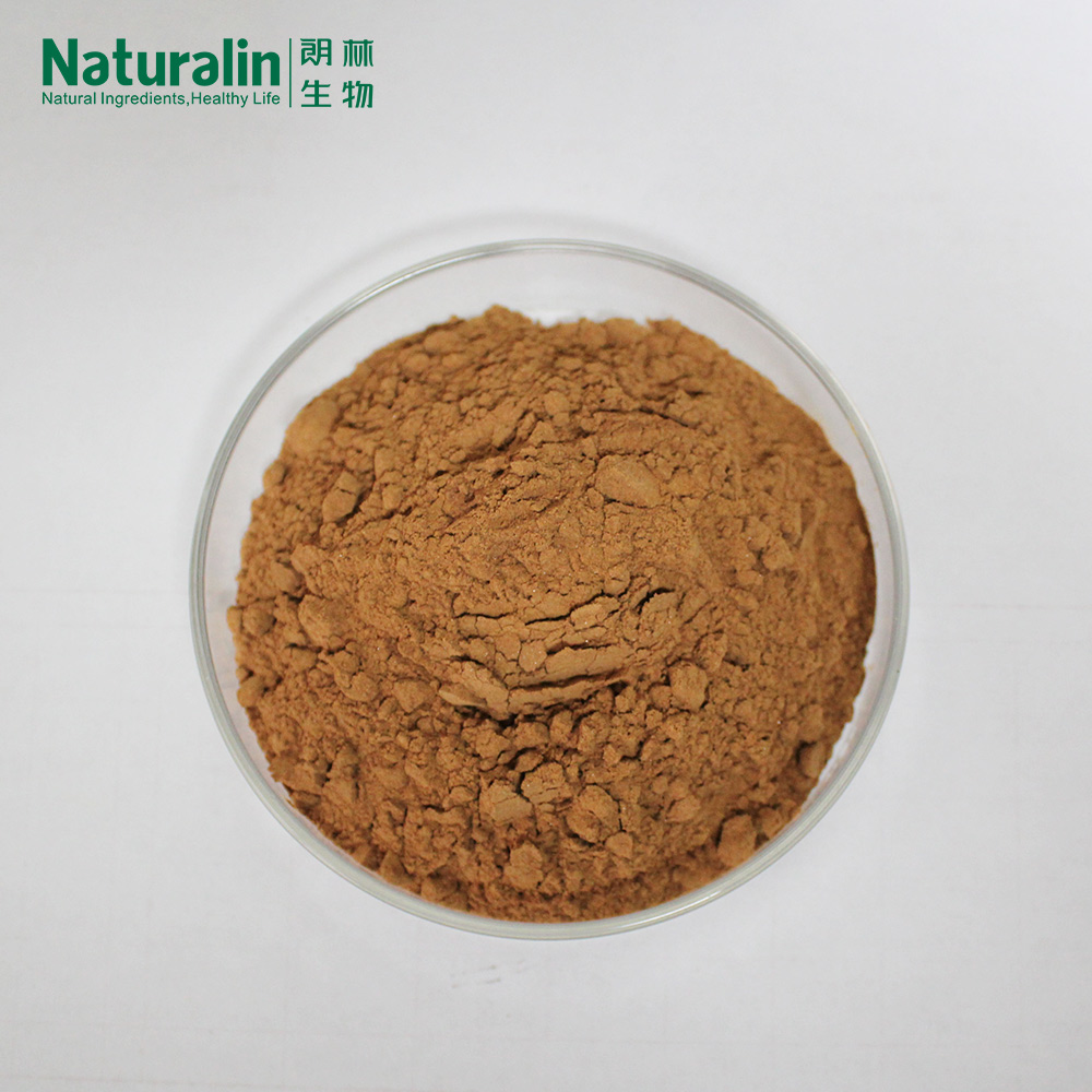 Ginkgo Biloba Extract  