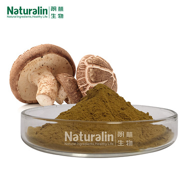 Shiitake Mushroom Extract