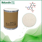 Cndroitin Sulfatech