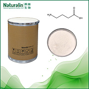 γ-aminobutyric acid