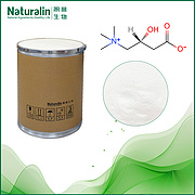 Acetyl L-Carnitine