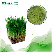Barley Grass Juice Extract