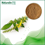 Agrimory Extract