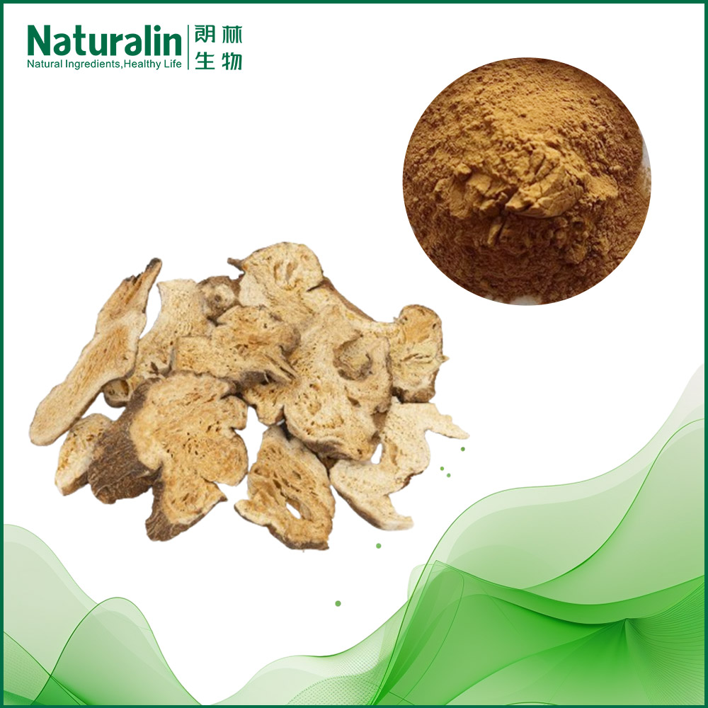 Adenophora Extract