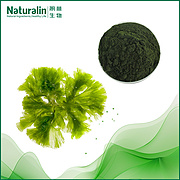 Green Alga Extract
