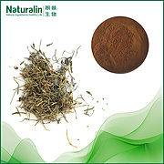 Lobelia Extract